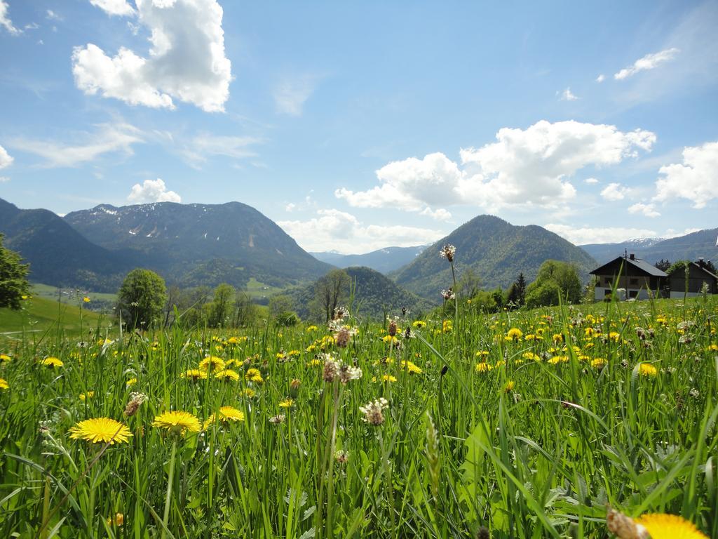 Ausseer Kleeblatt Bad Aussee Exterior foto